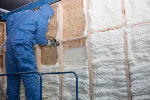 Best Spray Foam Insulation  in Kingsley, MI